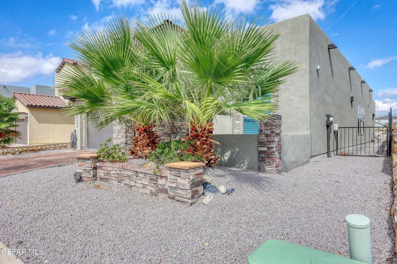 7799 Enchanted View Dr - Photo 3 of 49