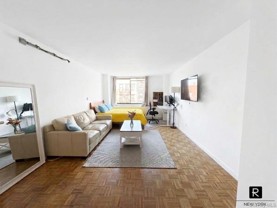 393 W 49th St #4P - Photo 1 of 1