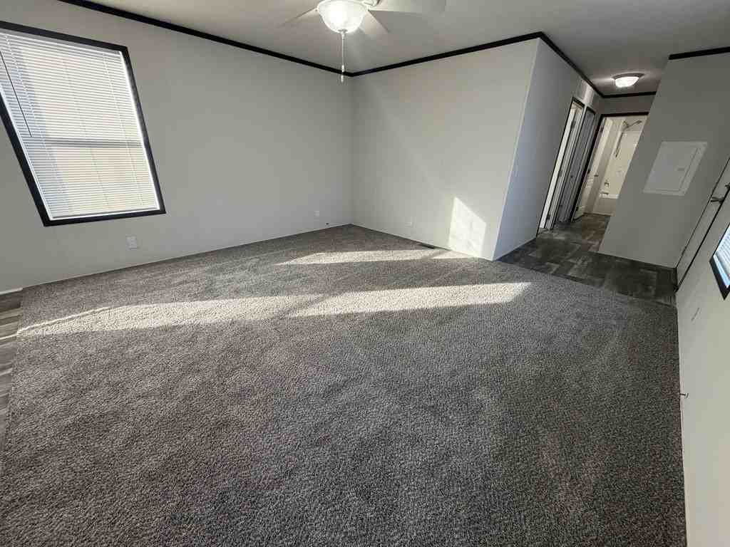 38012 Leverette Ave #423 - Photo 3 of 25