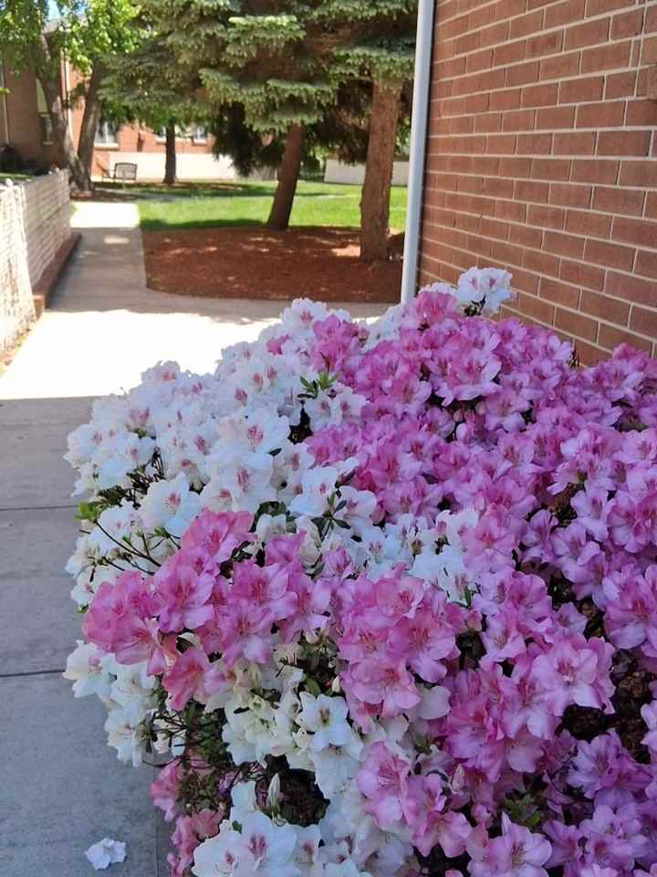 Grandview Gardens Apartments - Photo 3 of 5