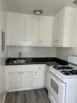 Tropical - A & L Associates, LLC - Photo 1 of 1