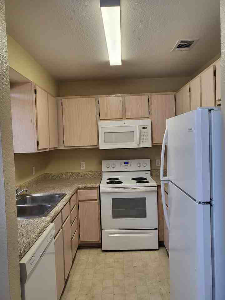 225 Kerby St #D - Photo 4 of 12