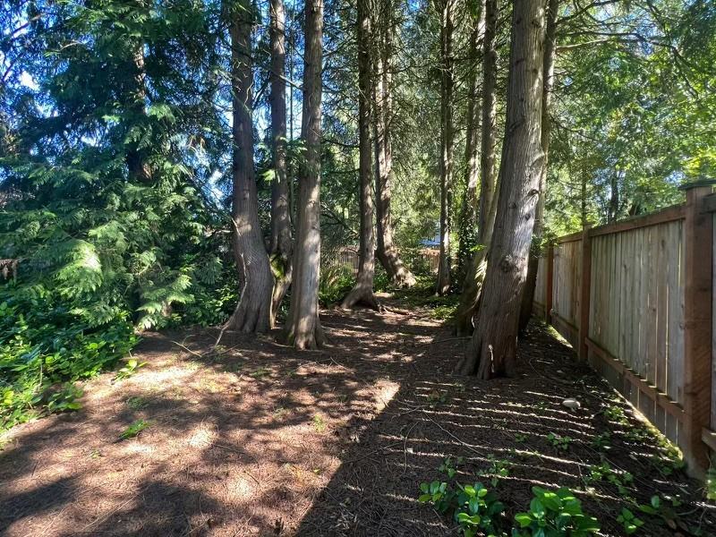 6225 129th Pl Se #NA - Photo 4 of 15