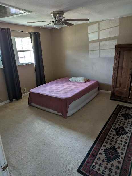 30769 Blanco Rd #2 - Photo 4 of 14