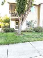 featured image of 3151 Forest Hills Dr #6