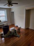 410 Linden Street - Photo 1 of 1