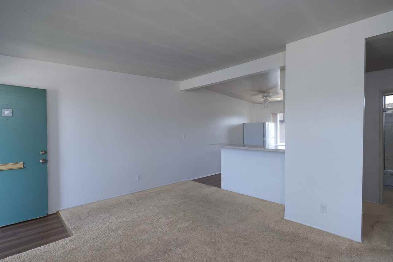 4910 Nautilus St #F - Photo 7 of 21