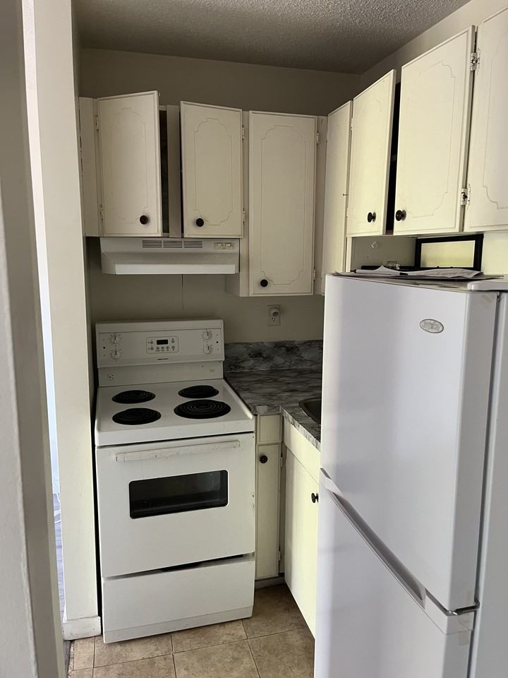 4105 Albert Street #101 - Photo 5 of 7