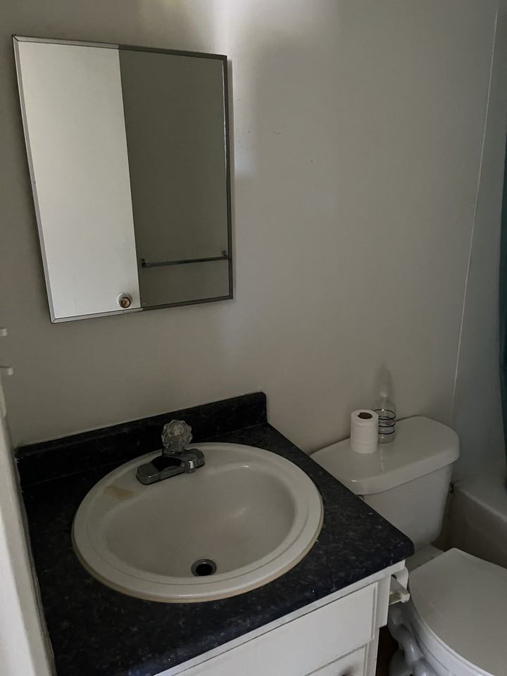 4105 Albert Street #101 - Photo 6 of 7