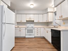featured image of 251 North St