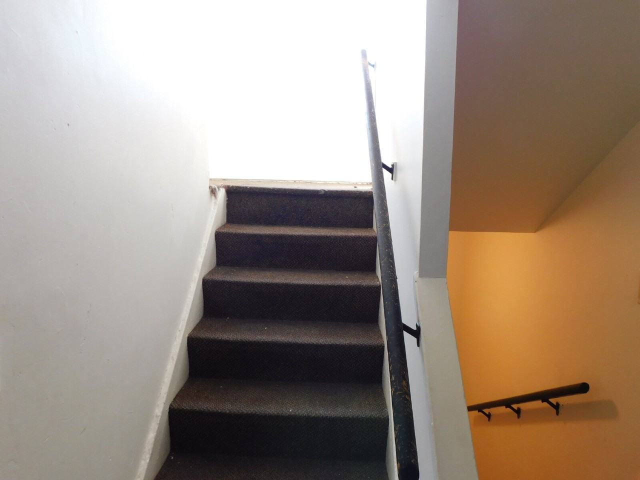 1104 Minnie St #5 - Photo 5 of 14