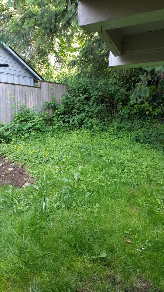 626 K Street, Unit 626 - Photo 4 of 4