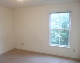 1203 Wertland Street - Photo 1 of 1