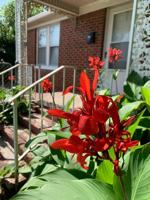 featured image of 424 W Franklin St
