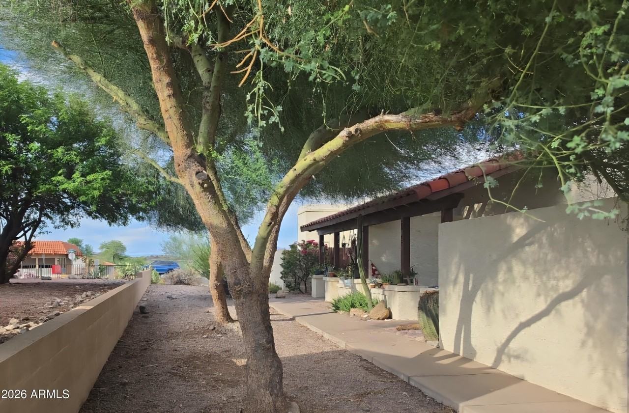 11832 N Saguaro Blvd #103 - Photo 3 of 4