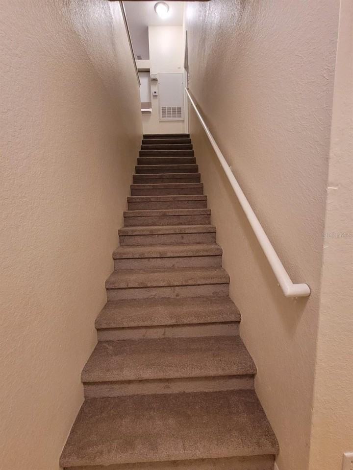 36122 Lake Chase Blvd #203 - Photo 3 of 50