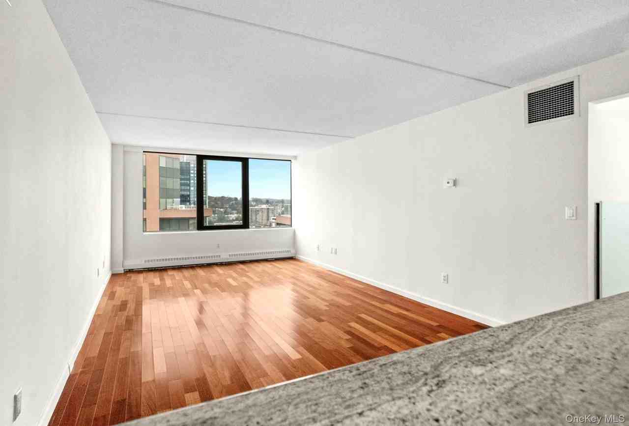 4 Martine Ave #1619 - Photo 5 of 24