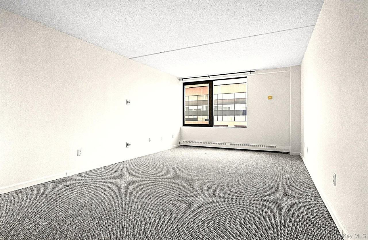 4 Martine Ave #1619 - Photo 7 of 24