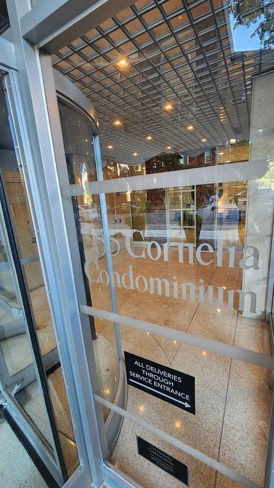 555 W Cornelia Ave #1301 - Photo 3 of 26