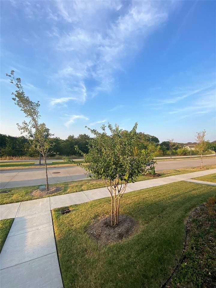 7297 Sacaton Trl - Photo 2 of 20