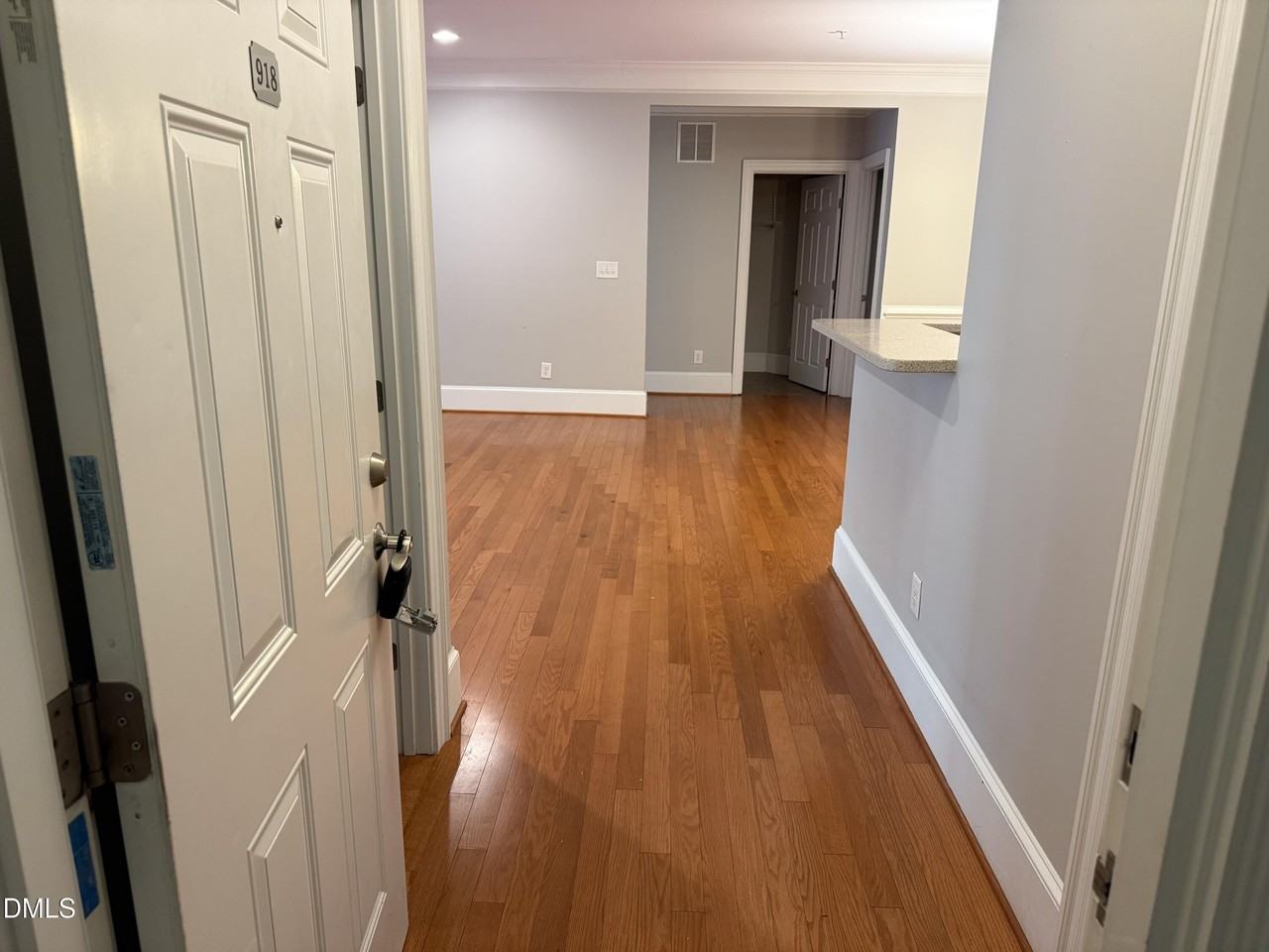 918 Portstewart Dr - Photo 4 of 42