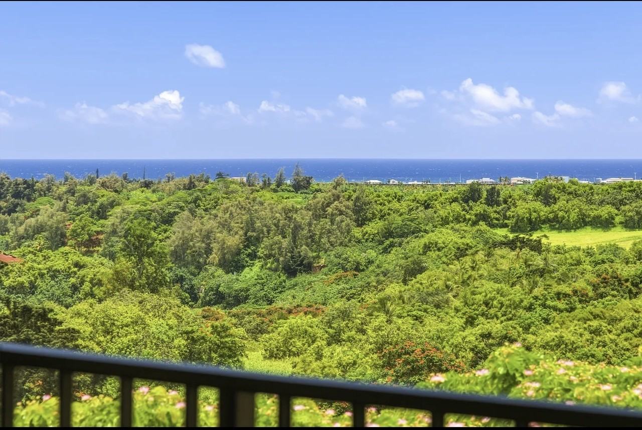 3-3400 Kuhio Hwy - Photo 2 of 10