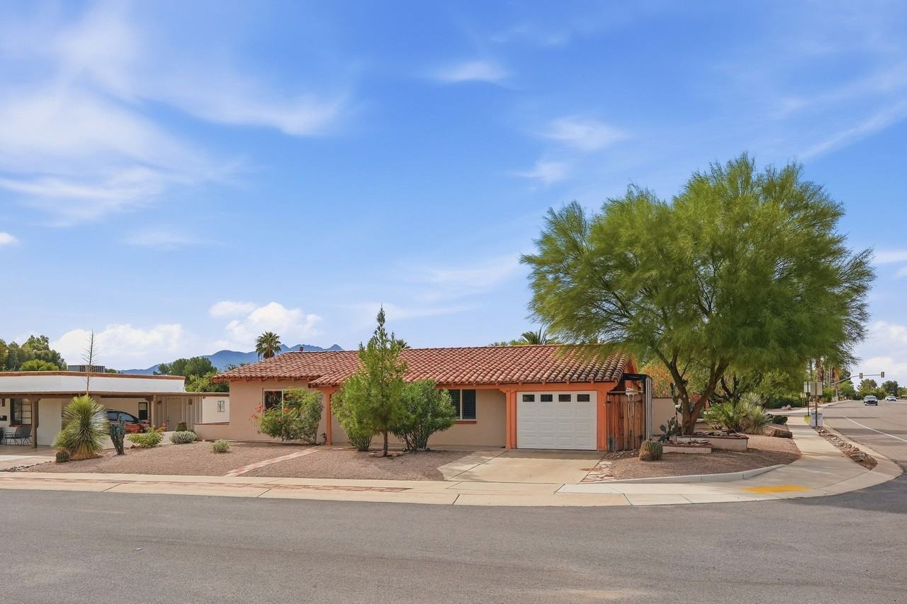100 E Verde Vis - Photo 4 of 50