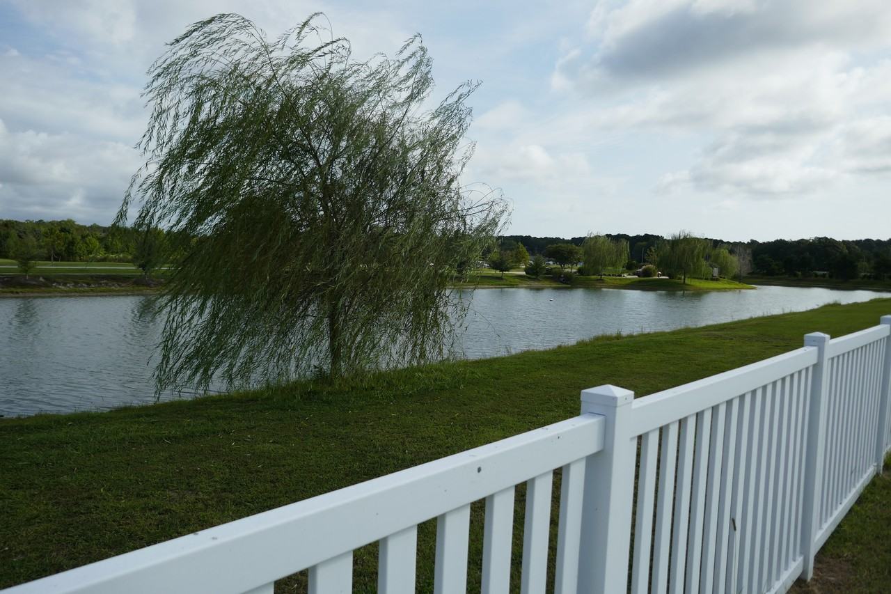 101 Avocet Path - Photo 6 of 28