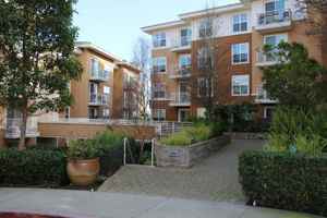 featured image of 401 Crescent Ct #4203