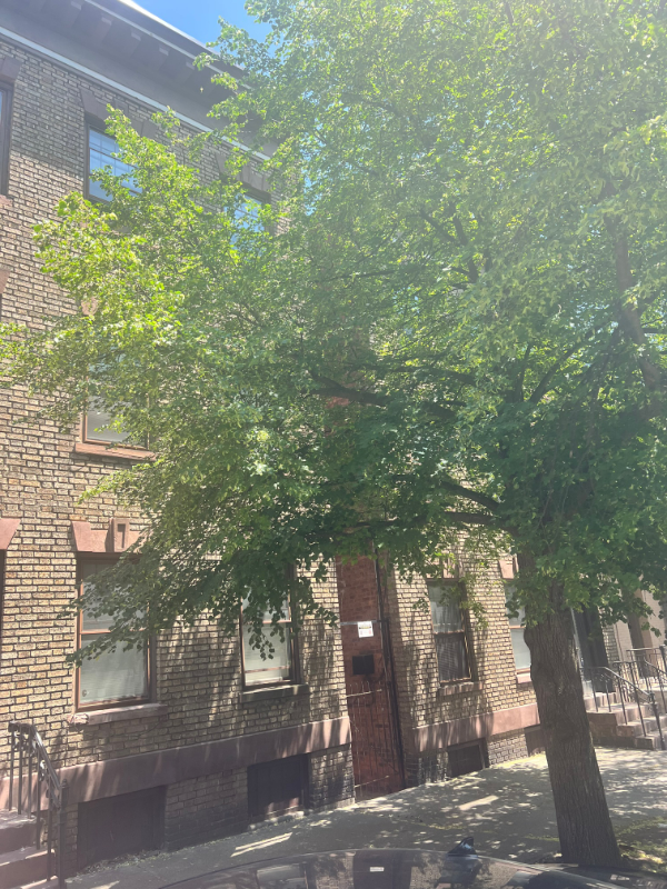 371 Hudson Ave #2B - Photo 2 of 10