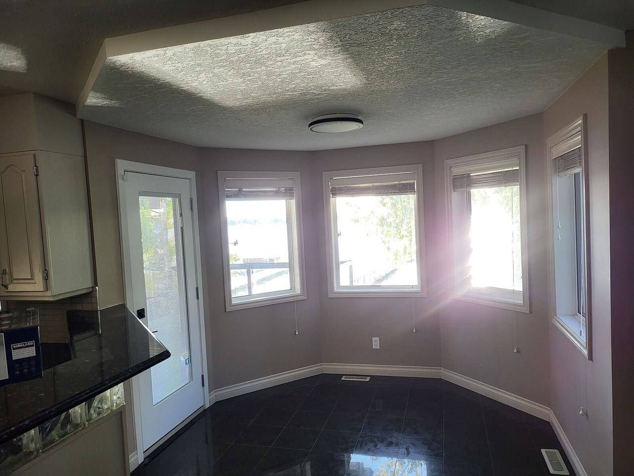 291 East Chestermere Dr - Photo 6 of 16