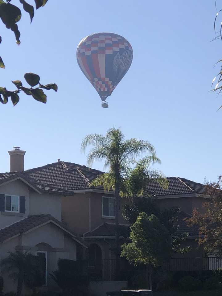 31530 Champions Cir #NA - Photo 5 of 13