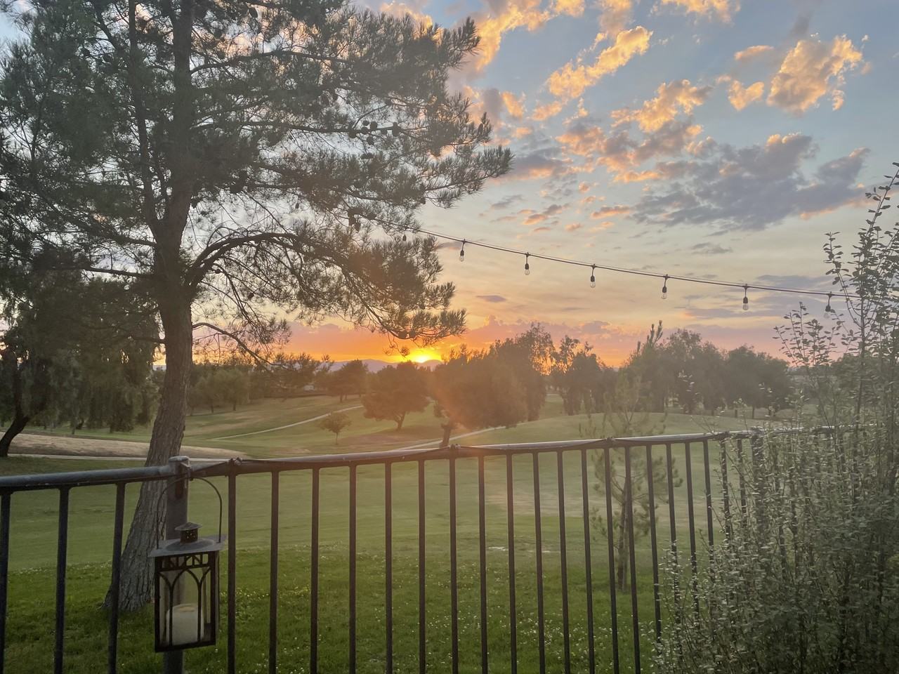 31530 Champions Cir #NA - Photo 6 of 13