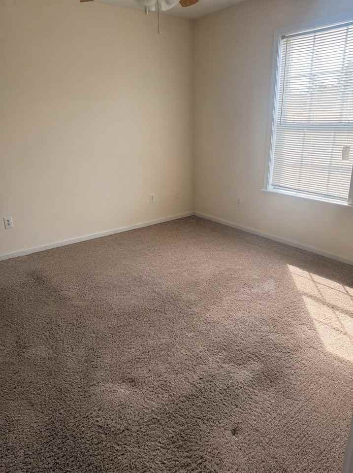 316 Hayat Loop - Photo 7 of 12