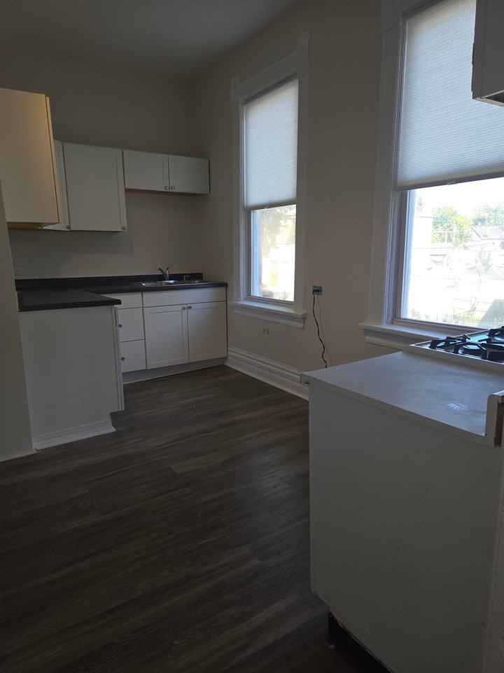 3300 W Wabansia Ave #2F - Photo 5 of 19