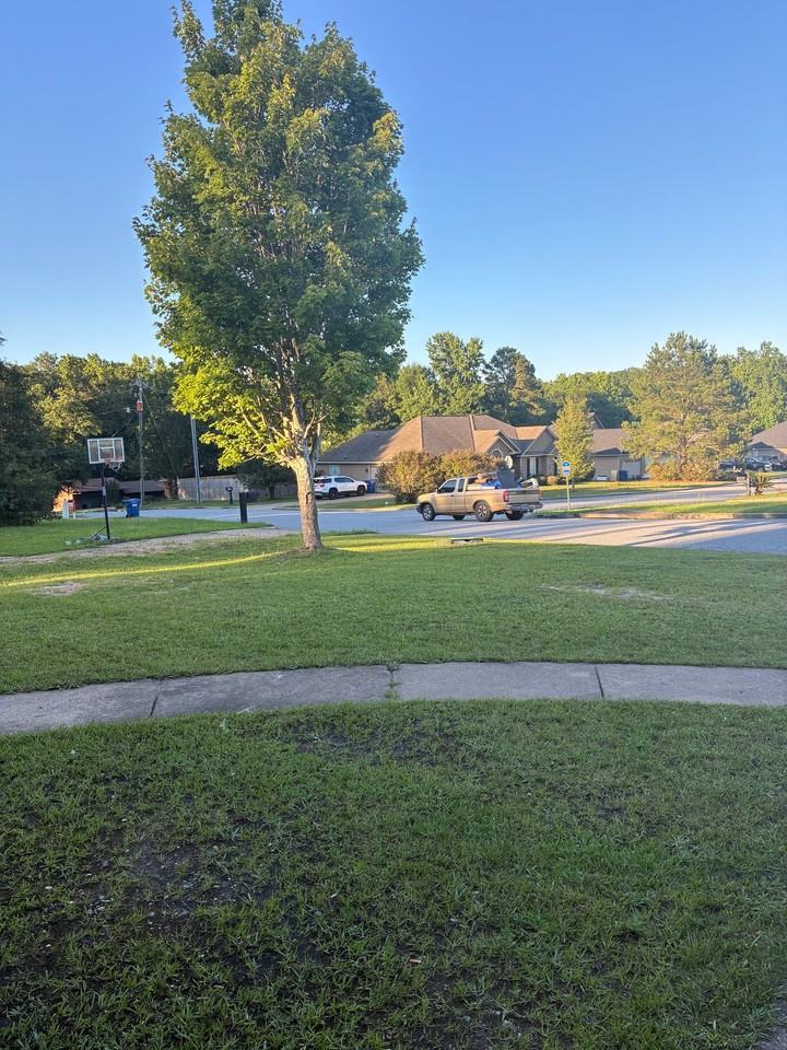 514 Lee Road 219 - Photo 2 of 19