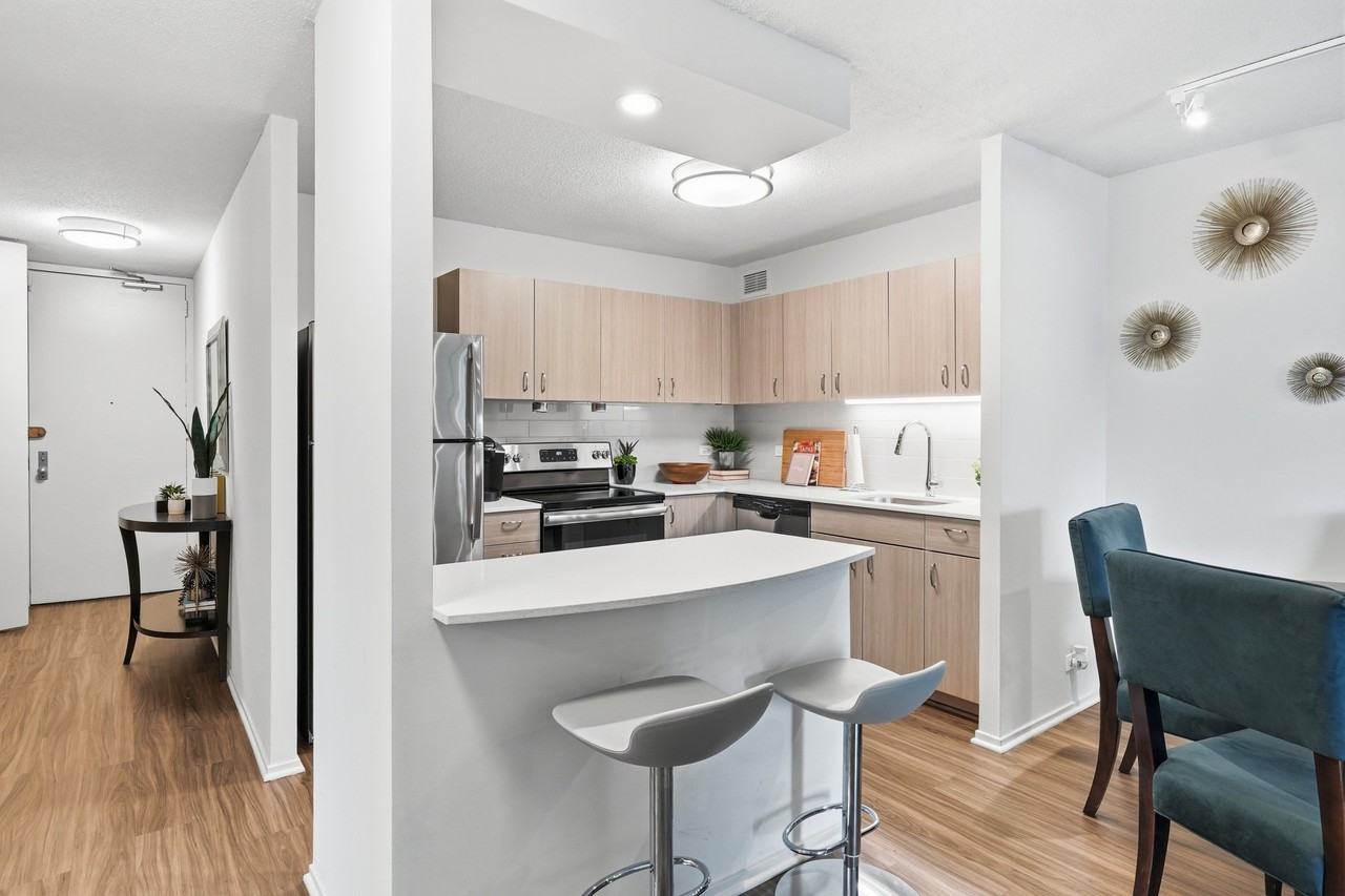 1126 N Dearborn St #209 - Photo 4 of 17