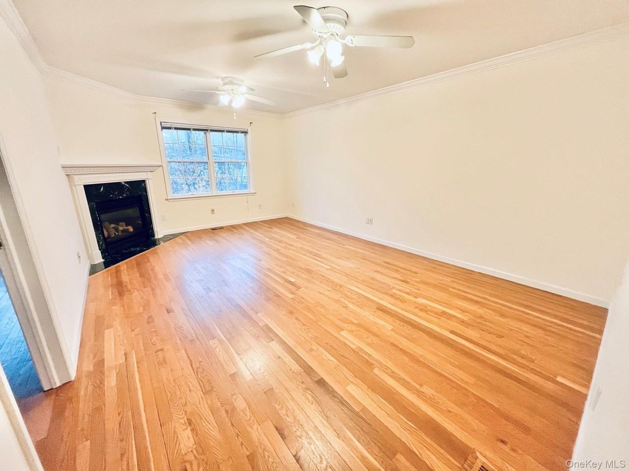 153 Montgomery Ave #B - Photo 5 of 19