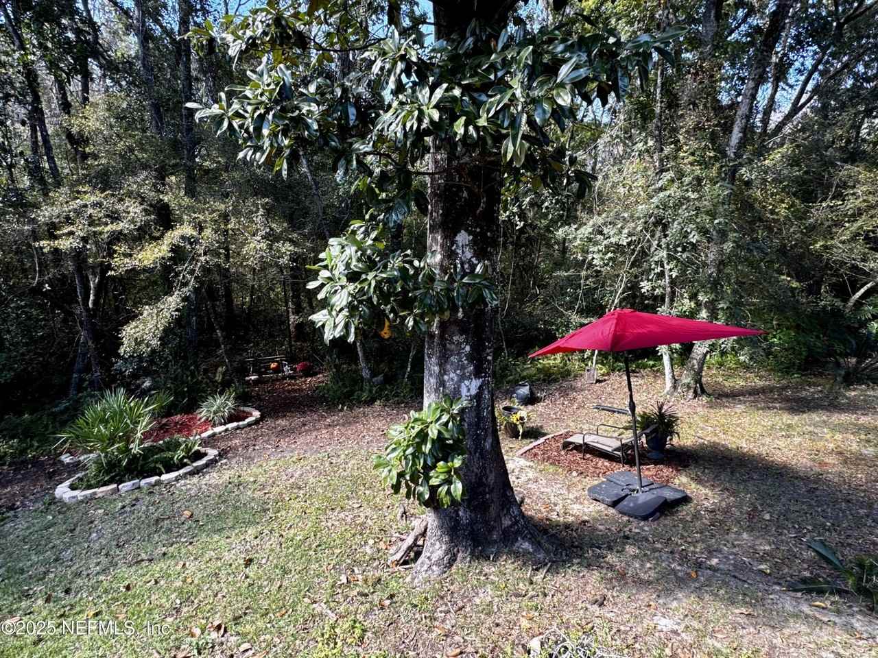 12152 Dividing Oaks Trl W - Photo 6 of 50
