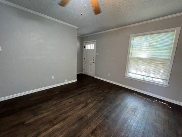 1817 Mccracken St - Photo 3 of 15