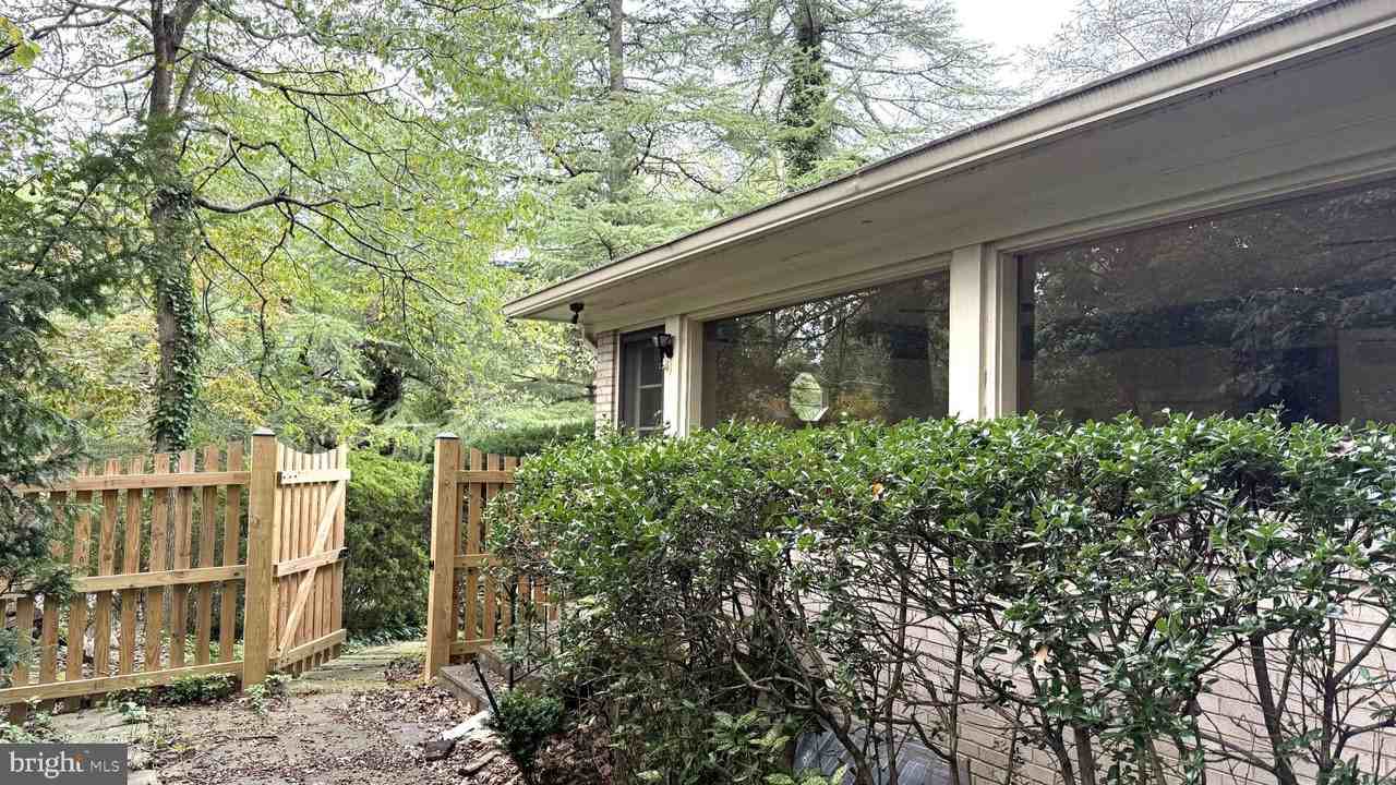 1429 Laburnum St - Photo 4 of 22
