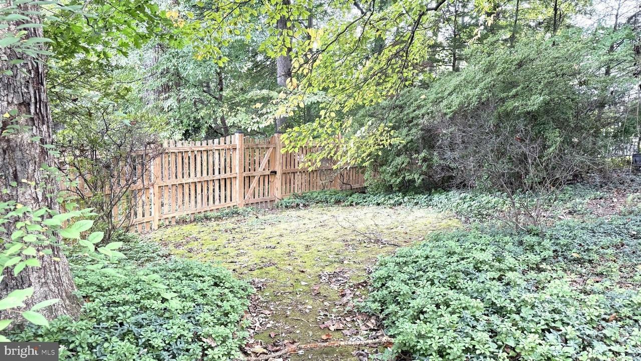 1429 Laburnum St - Photo 5 of 22