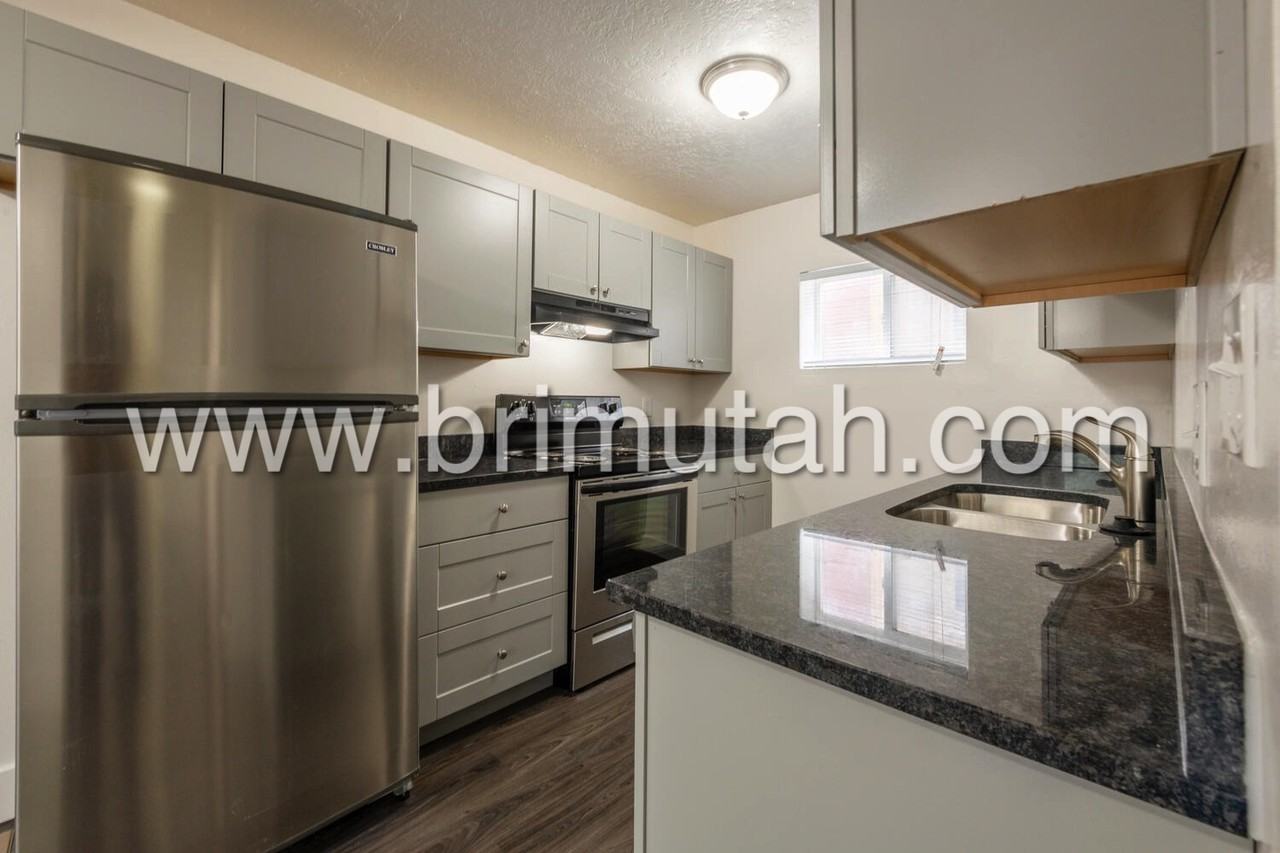 517 S. 1100 E. (NEW) - Photo 5 of 19