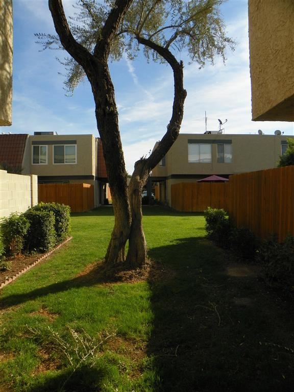 5973 W Townley Ave - Photo 3 of 37
