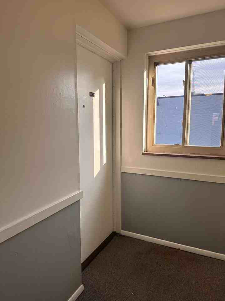 1505 Arbor St - Photo 3 of 12