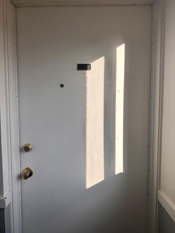 1505 Arbor St - Photo 4 of 12