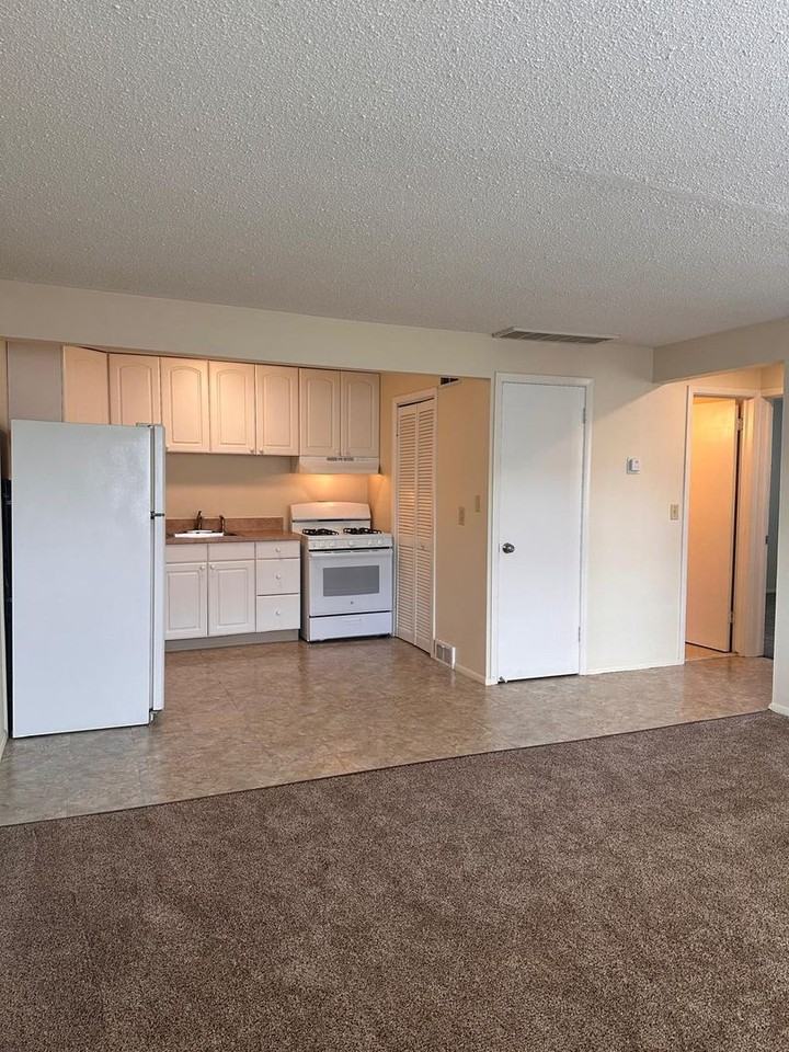 1505 Arbor St - Photo 5 of 12