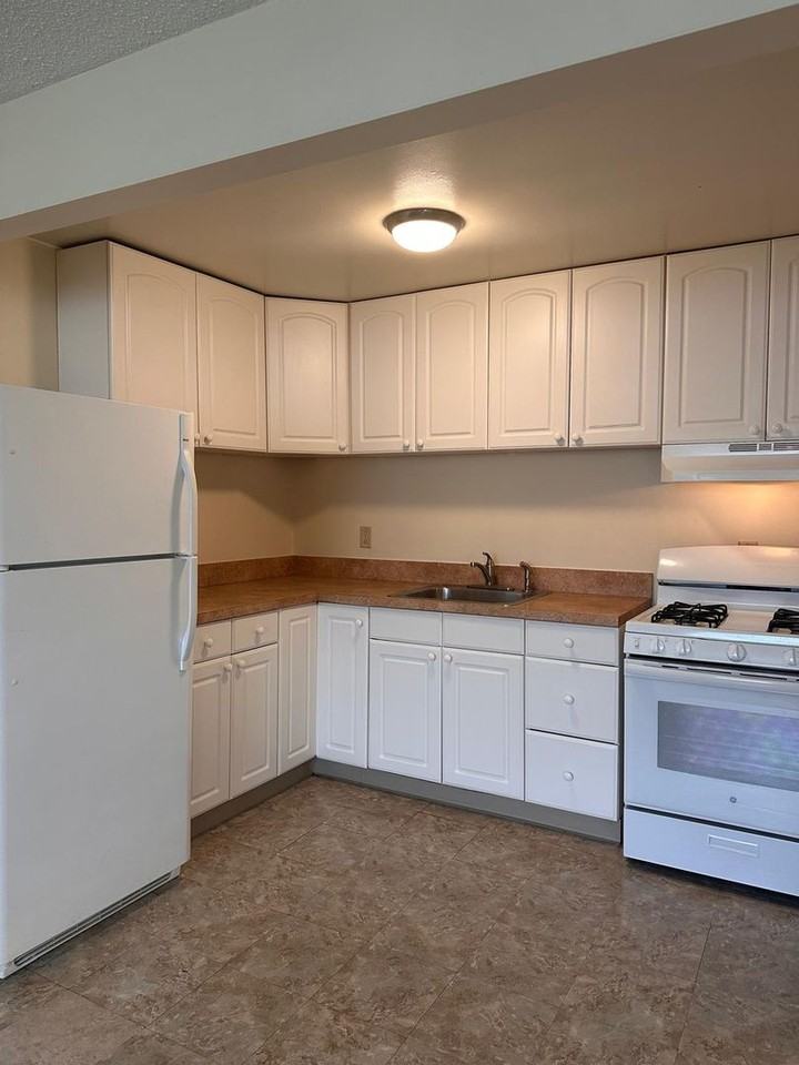 1505 Arbor St - Photo 6 of 12