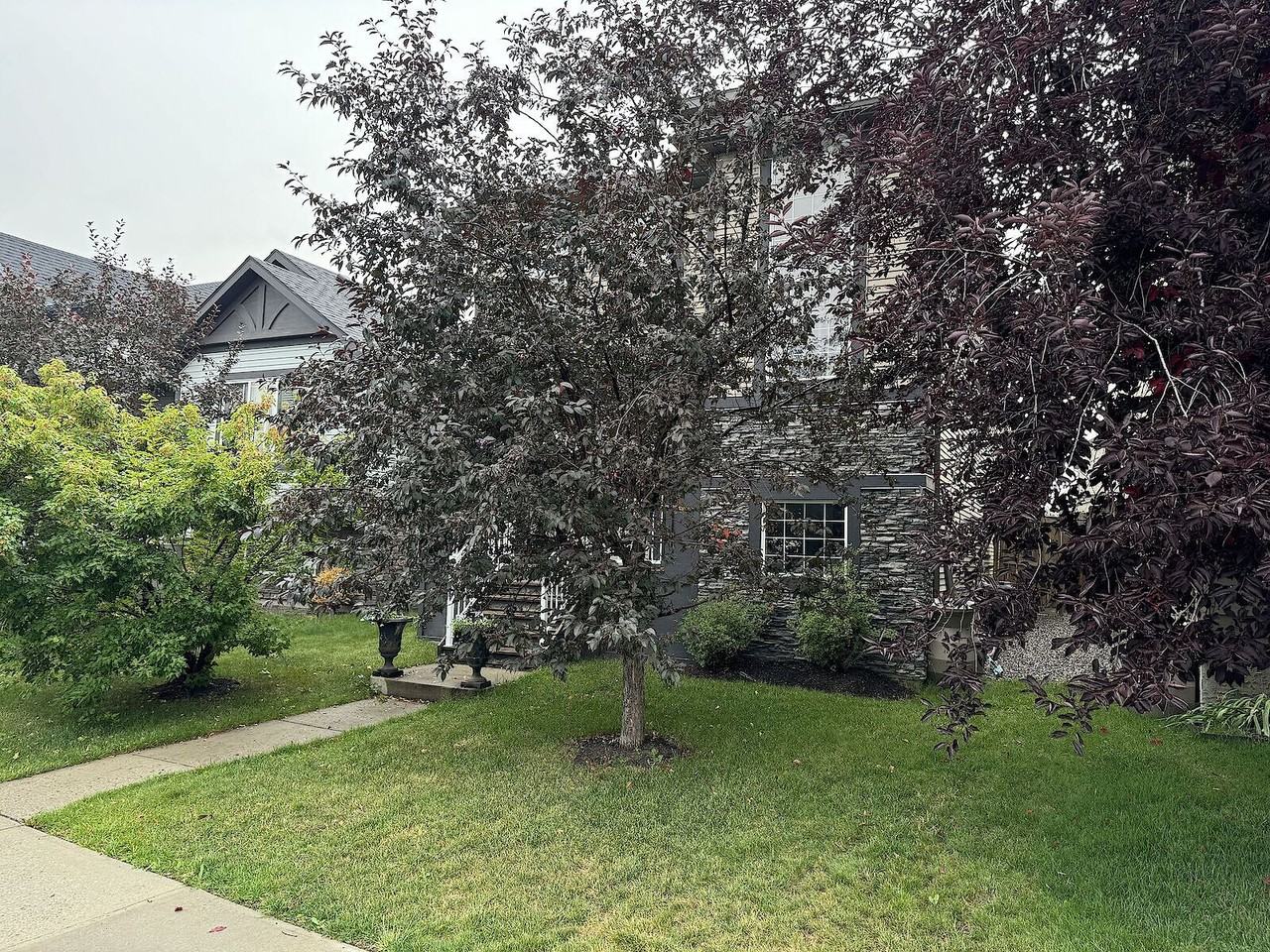 308 Silverado Dr Sw - Photo 4 of 15