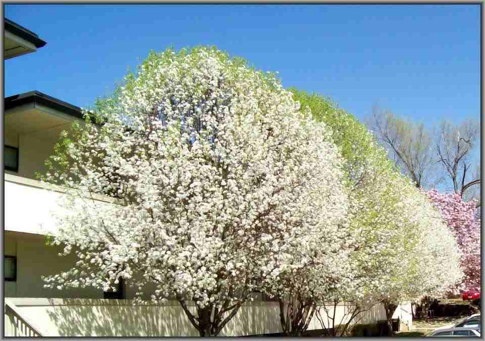 9420 Mary Glen Dr - Photo 2 of 9